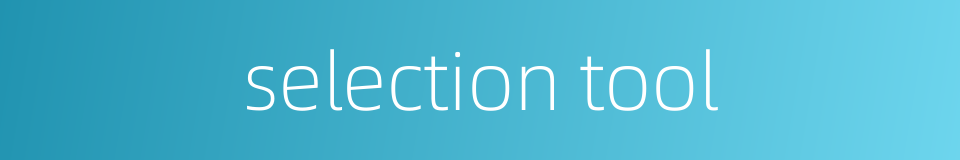 selection tool的同义词