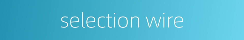selection wire的同义词