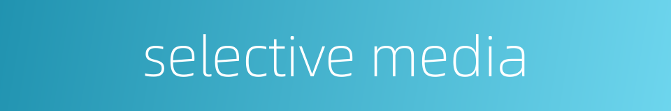 selective media的同义词
