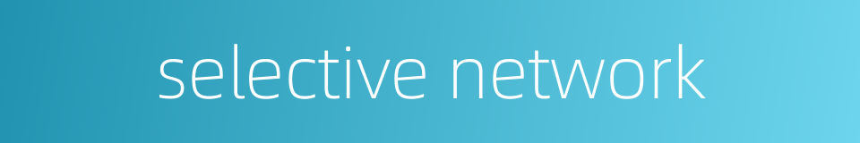 selective network的同义词