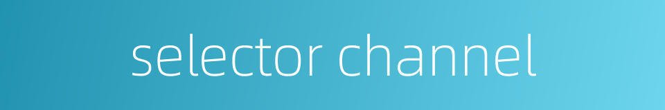 selector channel的同义词