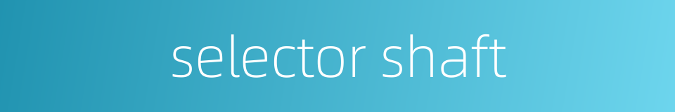 selector shaft的同义词