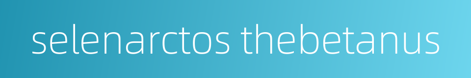 selenarctos thebetanus的同义词