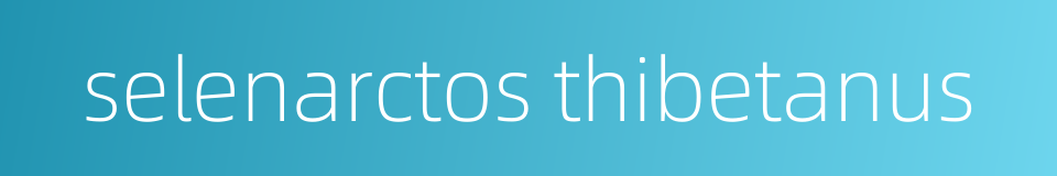 selenarctos thibetanus的同义词