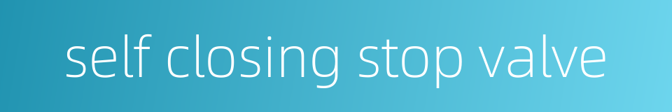 self closing stop valve的同义词
