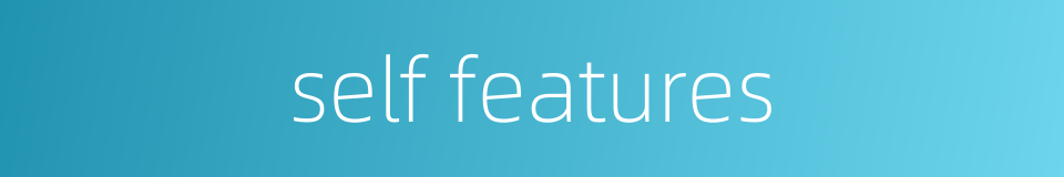 self features的同义词