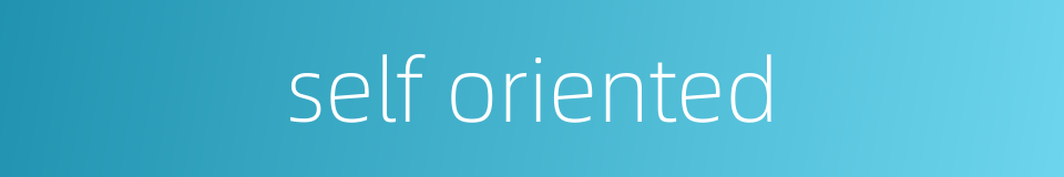 self oriented的同义词