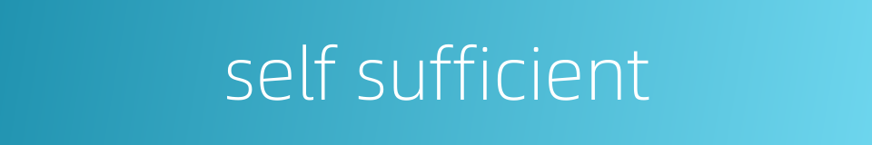 self sufficient的同义词