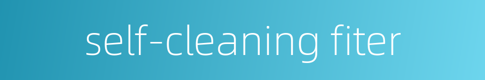 self-cleaning fiter的同义词