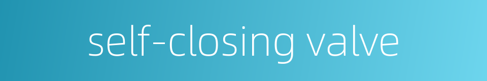 self-closing valve的同义词