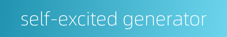 self-excited generator的同义词