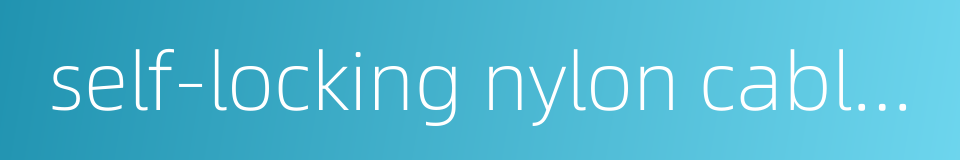 self-locking nylon cable ties的同义词