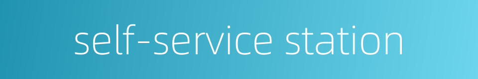 self-service station的同义词