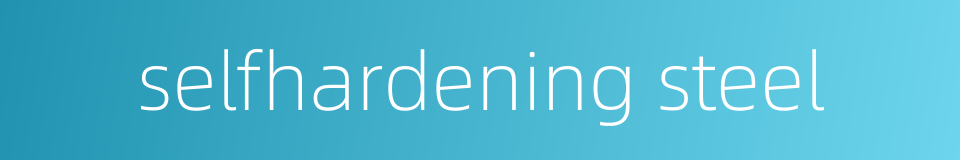 selfhardening steel的同义词