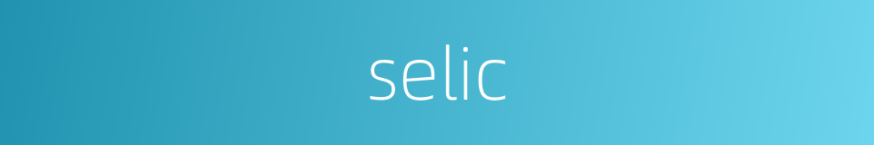 selic的同义词