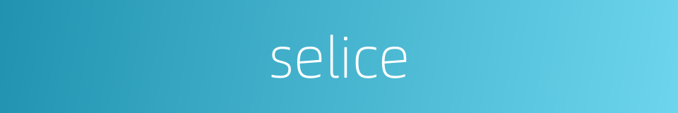 selice的同义词