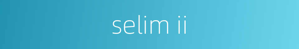 selim ii的同义词