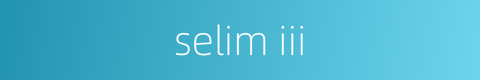 selim iii的同义词