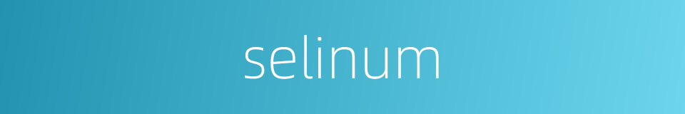 selinum的同义词