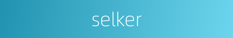 selker的同义词