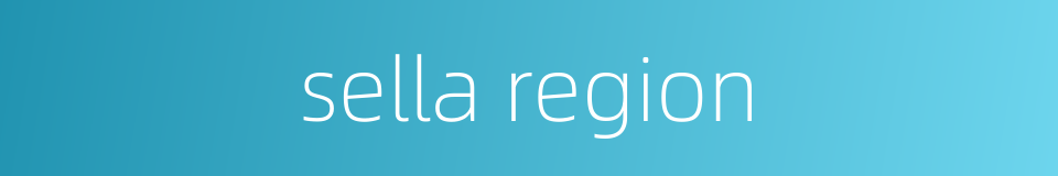 sella region的同义词