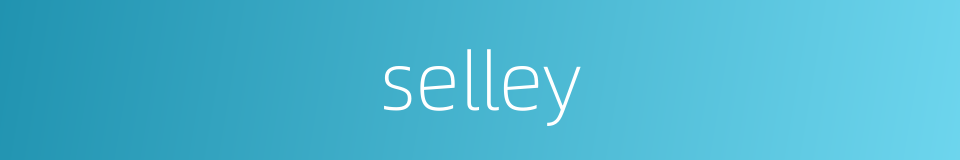 selley的同义词