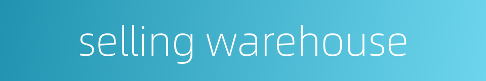 selling warehouse的同义词