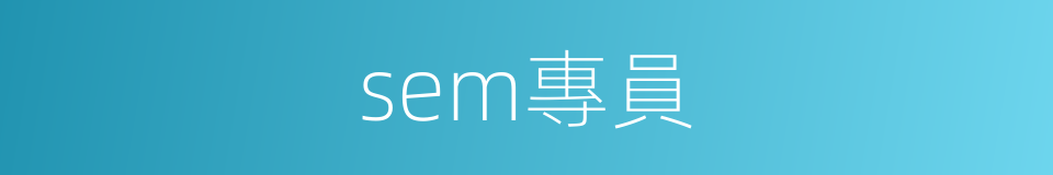 sem專員的同義詞