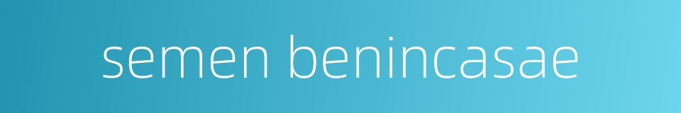 semen benincasae的同义词