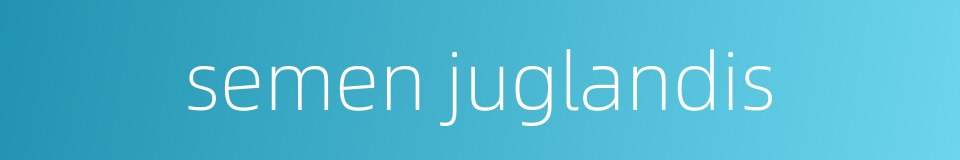 semen juglandis的同义词