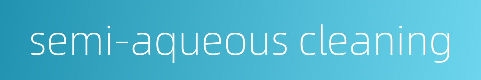 semi-aqueous cleaning的同义词