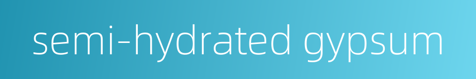 semi-hydrated gypsum的同义词