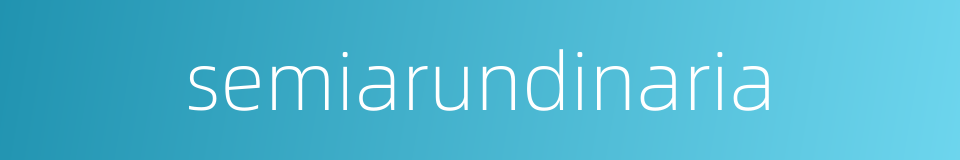 semiarundinaria的同义词