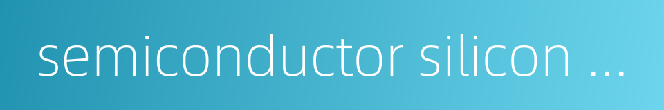 semiconductor silicon wafer的同义词