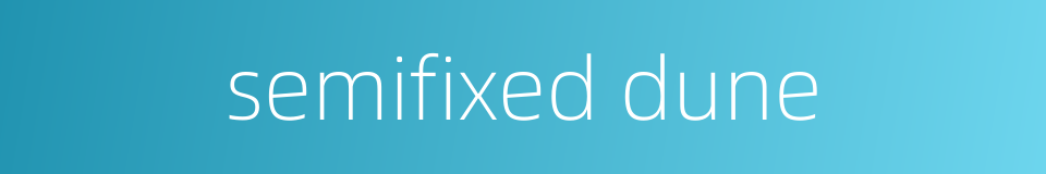 semifixed dune的同义词