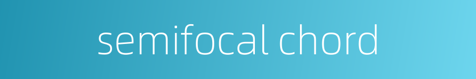 semifocal chord的同义词