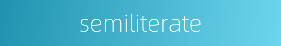 semiliterate的同义词