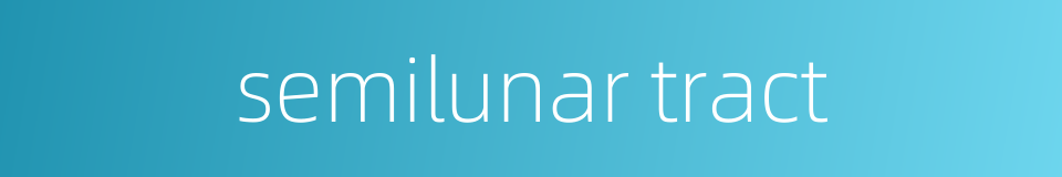 semilunar tract的同义词
