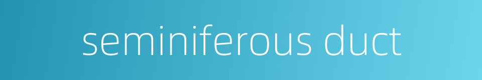 seminiferous duct的同义词