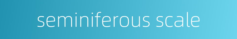 seminiferous scale的同义词