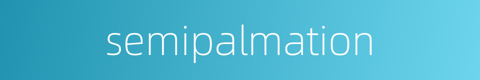 semipalmation的同义词