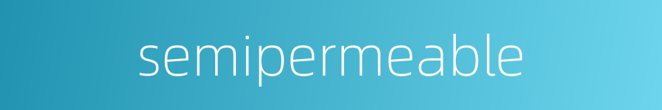 semipermeable的同义词