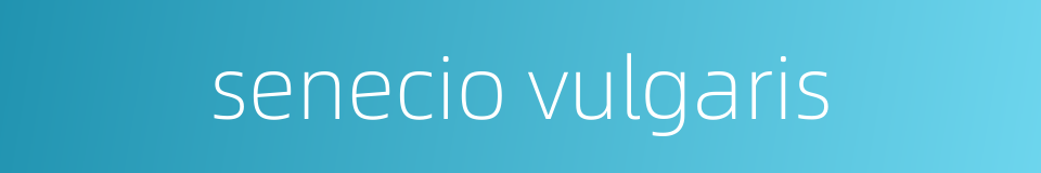 senecio vulgaris的同义词