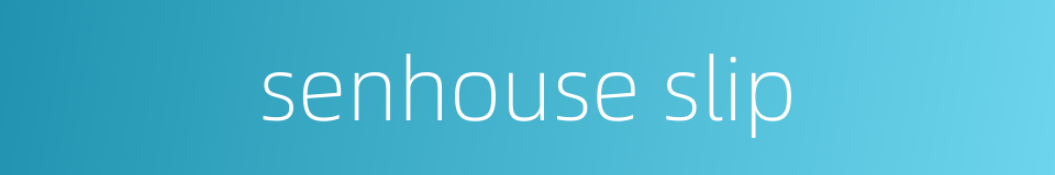 senhouse slip的同义词