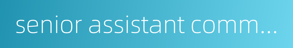 senior assistant commissioner of police的同义词