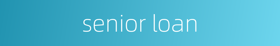 senior loan的同义词