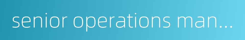 senior operations manager的同义词