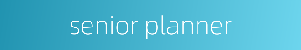 senior planner的同义词