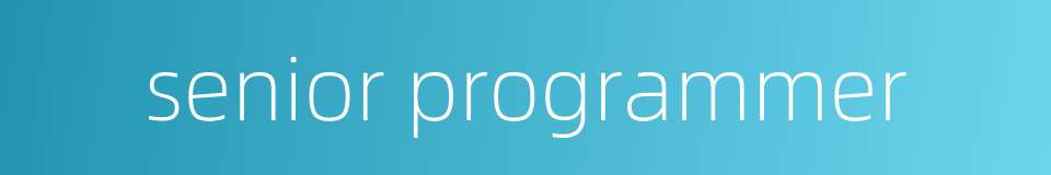 senior programmer的同义词