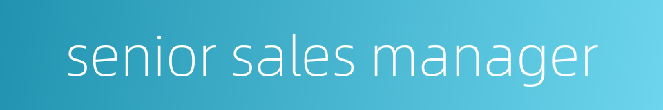 senior sales manager的同义词